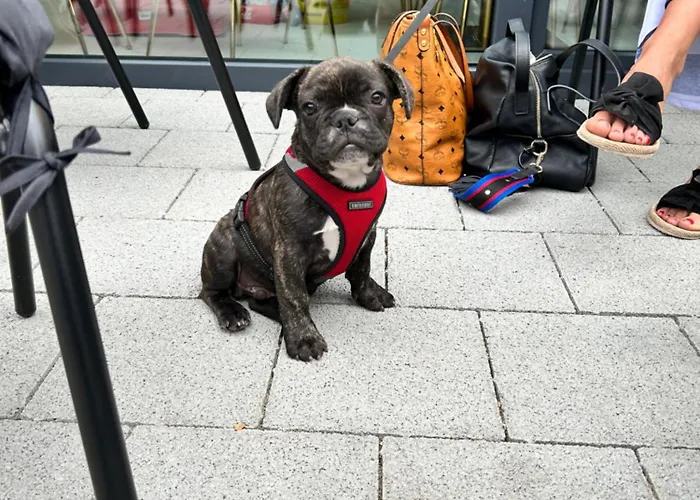 Cafe Cuore St. Margrethen