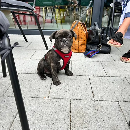 Cafe Cuore St. Margrethen